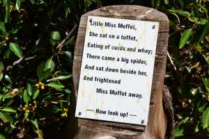 carrick hill 2014 (12)